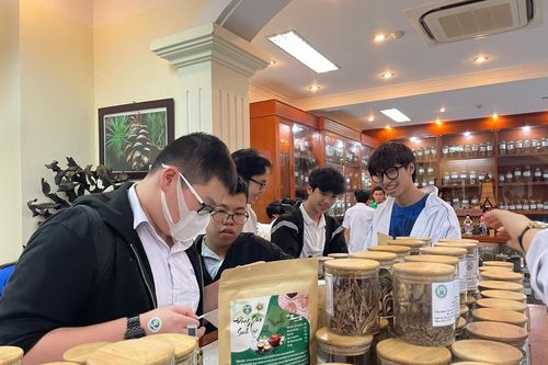 Thúc đẩy cộng đồng sử dụng hiệu quả, bền vững tài nguyên dược liệu