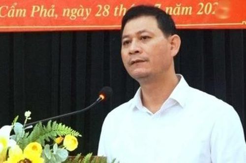 Tạm giam một chủ tịch phường ở Quảng Ninh