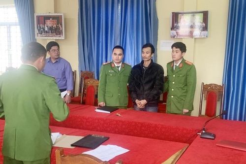 Bắt tạm giam đối tượng chuyên thu gom các loại gỗ quý trái phép
