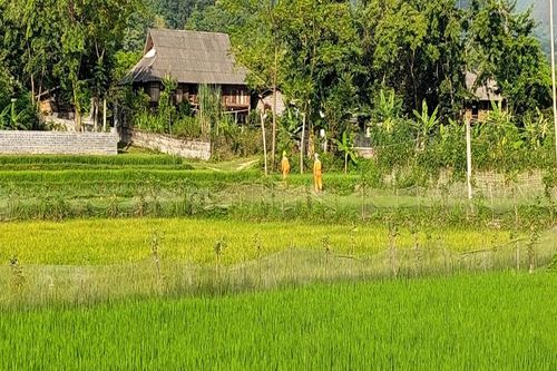 PC Yên Bái hướng đến mục tiêu hoàn thiện hệ thống đo đếm điện năng từ xa