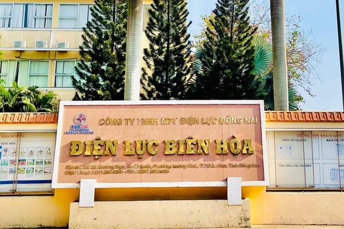 Lấy 'đất vàng' cho Công ty Điện lực Đồng Nai thuê, người dân bị thu hồi đất khốn khổ chờ bồi thường