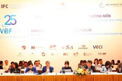 Việt Nam đang ở vị thế tốt hơn bao giờ hết để thu hút tư nhân đầu tư chuyển dịch năng lượng