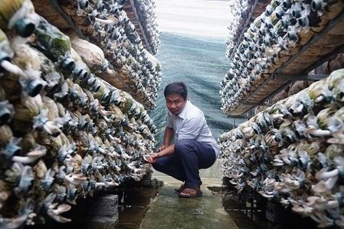 Đào tạo nghề gắn với xây dựng nông thôn mới ở miền núi xứ Thanh