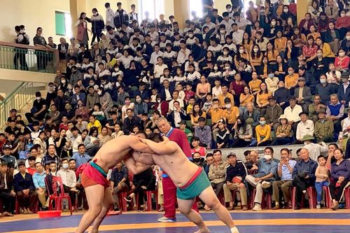 Khai mạc Giải vô địch vật tự do - vật dân tộc Cúp Báo Hải Phòng