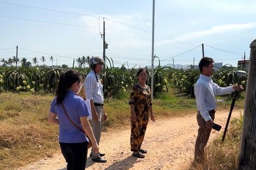 Kiểm sát viên tham gia kiểm sát hoạt động xem xét, thẩm định tại chỗ