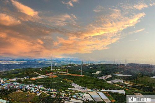 Nhà máy điện gió bị phạt 225 triệu đồng vì sử dụng đất sai quy định