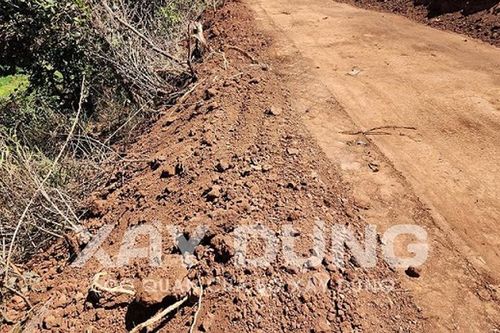 Lựa chọn nhà thầu dự án cải tạo nâng cấp quốc lộ 19, đoạn qua tỉnh Gia Lai