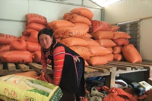Một thời tìm dân lập bản