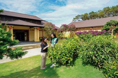 Hương trà giữa ngàn thông