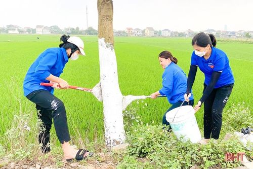 Đoàn viên thanh niên Hà Tĩnh hưởng ứng 'Ngày Chủ nhật xanh'