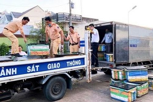 Bạc Liêu: Phát hiện 600 kg tôm bơm tạp chất agar trên đường đi tiêu thụ