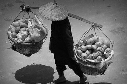 Vi diệu...