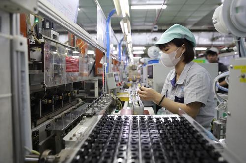 Việc làm 'xanh' không tự xuất hiện, mà hình thành từ chiến lược của doanh nghiệp
