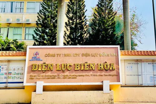 Vụ lấy 'đất vàng' cho điện lực thuê: HĐND tỉnh Đồng Nai yêu cầu báo cáo việc thi hành án