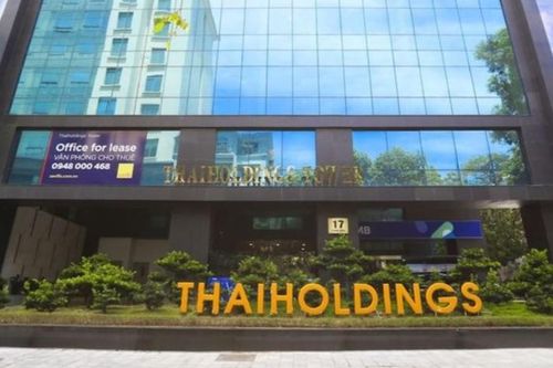 Lợi nhuận Thaiholdings năm 2022 'bốc hơi' 10% sau kiểm toán