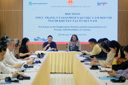 Khoảng 31,7% người khuyết tật từ 15 tuổi trở lên có việc làm