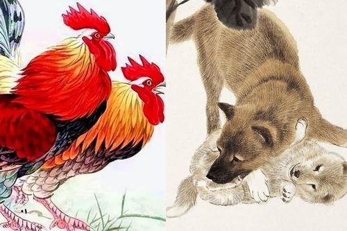 5 con giáp có vận may vượng phát trong năm 2023
