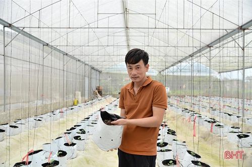 Nhiều 'startup' trẻ Đức Thọ thành công từ mảnh đất quê hương