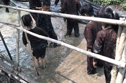 Tp.HCM: Không tổ chức cho học sinh tiểu học trải nghiệm ở ngoại thành
