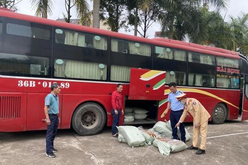 Quảng Ninh: Xử phạt tài xế xe khách vận chuyển gần 500kg lòng lợn thối