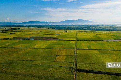 Hóa giải 'lời nguyền' nhỏ lẻ, manh mún của nền nông nghiệp