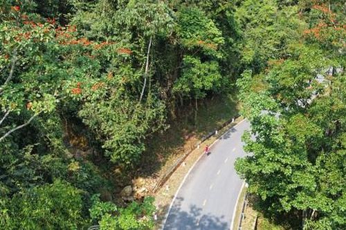 Clip cung đường chạy Tiền Phong Marathon 2023