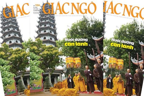 Báo Giác Ngộ số 1194: 'Nuôi dưỡng căn lành'