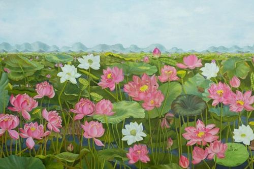 Triển lãm tôn vinh sự thuần khiết, thánh thiện của hoa sen