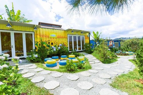 Dở khóc dở cười: Nhà đầu tư quyết định trồng hoa, mở quán cafe hậu 'sốt' đất