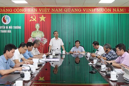 Thanh Hóa nguy cơ thiếu điện nếu đường dây 220kV Nậm Sum - Nông Cống chậm tiến độ