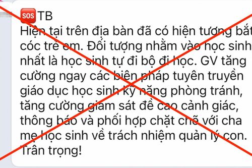 Thông tin 'bắt cóc trẻ em' là thất thiệt, trường học mời công an vào cuộc