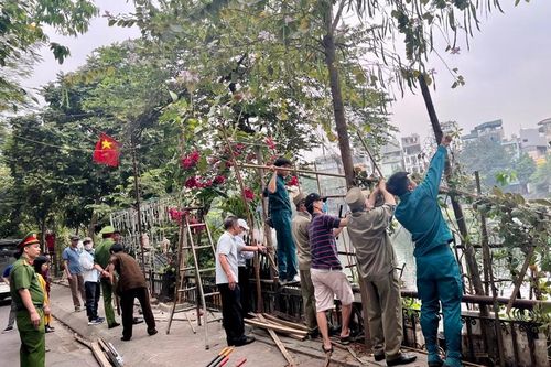 Quận Đống Đa xóa điểm nóng về trật tự đô thị tại phố Hồ Văn Chương