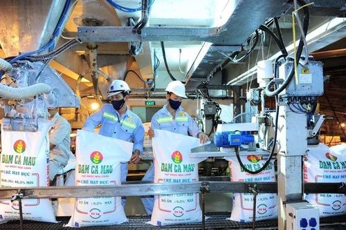 KBSV: Cổ phiếu phân bón giảm mạnh nhưng vẫn chưa phải thời điểm giải ngân