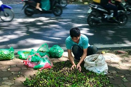 Cơm quê giữa phố