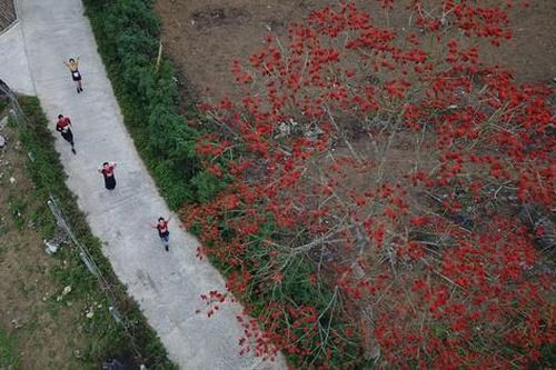 Tiền Phong Marathon 2023: Ngỡ ngàng với cung đường tuyệt đẹp ở Lai Châu