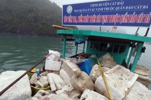 Rác thải 'bủa vây', luồng nước màu đỏ cam xuất hiện ở vịnh Lan Hạ
