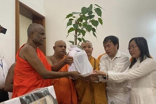 Nhánh cây bồ đề hơn 2.300 tuổi từ Sri Lanka được rước về trồng tại Việt Nam
