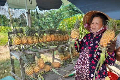 Hậu Giang: Đưa khóm Cầu Đúc vươn xa