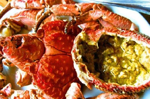Loài cua biết leo cây, bắt chuột, nhìn kì dị nhưng lại là đặc sản
