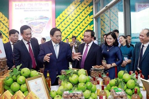 Hải Dương: Quyết tâm bứt phá