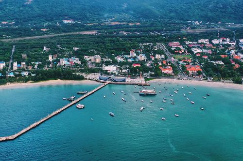 PGS.TS Vũ Thanh Ca: Cấp điện cho Côn Đảo cần tính đến yếu tố bảo tồn