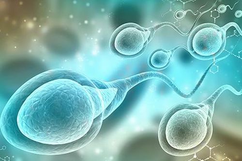 Mẹ đơn thân nên xin tinh trùng trực tiếp hay từ ngân hàng
