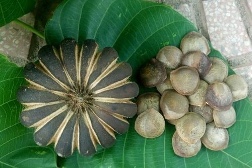 Ngành Y tế Lâm Đồng chỉ đạo khẩn trương phòng, chống ngộ độc thực phẩm