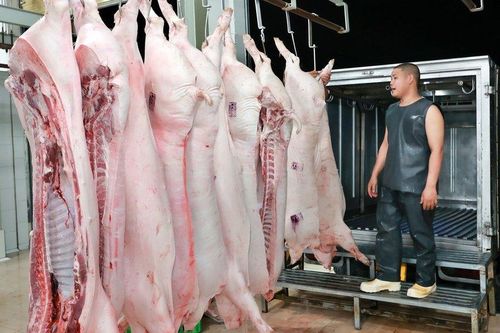 Tp.HCM: Quy hoạch nhà máy giết mổ, vì sao cứ loay hoay?