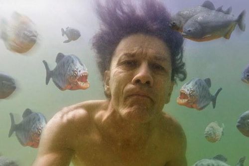 Cá piranha có thực sự nguy hiểm như những lời đồn?
