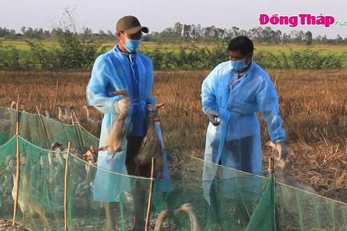 Nâng cao ý thức của người dân trong phòng, chống bệnh cúm gia cầm lây sang người
