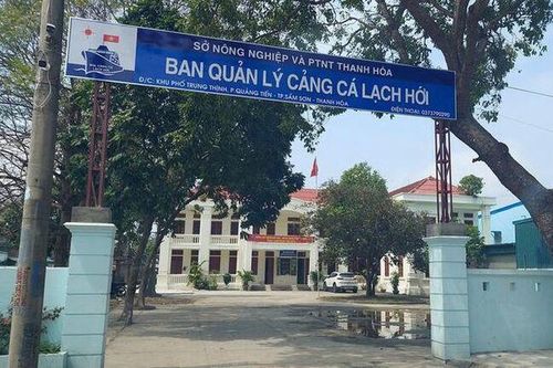 Thành lập Ban quản lý cảng cá Thanh Hóa