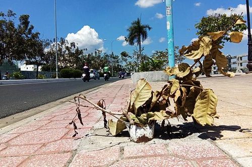 Ống sắt nơi hành lang đi bộ