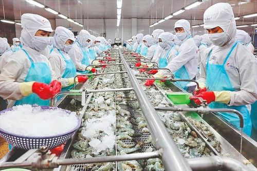 Vì sao xuất khẩu thủy sản vẫn trầm lắng?