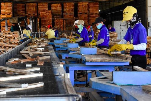 Doanh nghiệp trước nguy cơ phá sản vì bất cập chính sách